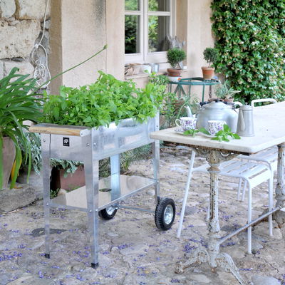 Hochbeet-Trolley mit Rädern, silber, Metall, 75 x 35 x 80 cm, 47 l Hochbeet-Trolley mit Rädern, silber, Metall, 75 x 35 x 80 cm, 47 l