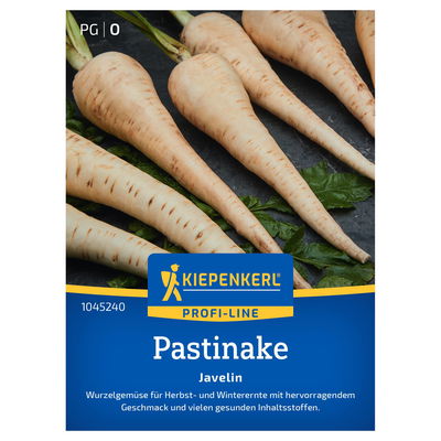 Kiepenkerl Saatgut Pastinake 'Javelin'