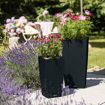 Lechuza 'Cubico Cottage 30', graphitschwarz, ca. 30 x 30 x H 56 cm