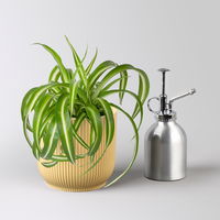 Grünlilie 'Bonnie', Topf-Ø 12 cm, inkl. Übertopf Vibes gelb, 2 Pflanzen