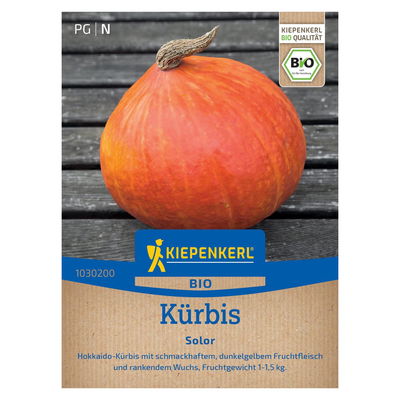 Bio-Gemüsesamen, Kürbis 'Hokkaido', orange