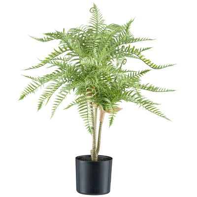 Kunstpflanze Goldrückenfarn, Höhe ca. 66 cm