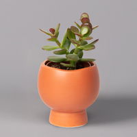 Mini-Sukkulenten im Dekotopf 'Scandic terracotta', Topf-Ø 6 cm, 3er-Set