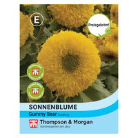 Thompson & Morgan Sonnenblume 'Gummy Bear®', gelb