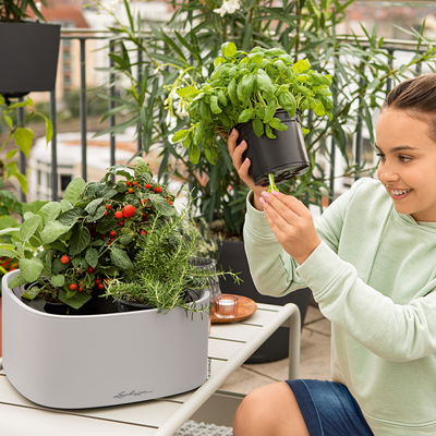 Lechuza 'Pila Color', pastellgrün, ca. 35 x 35 x H 16,5 cm