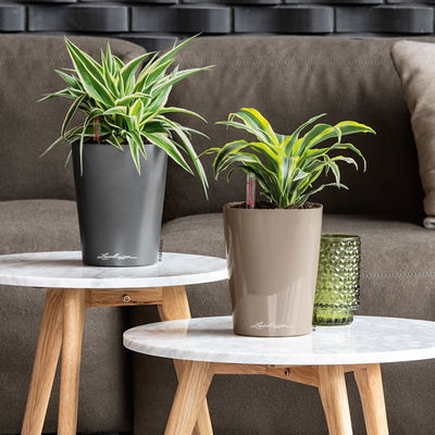 Lechuza 'Deltini', taupe, ca. 15 x 15 x H 19 cm Lechuza 'Deltini', taupe, ca. 15 x 15 x H 19 cm