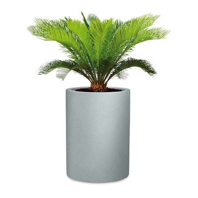 Scheurich Pflanzgefäß 'Riva High', steingrau, ca. 39 x 39 x H 54 cm Scheurich Pflanzgefäß 'Riva High', steingrau, ca. 39 x 39 x H 54 cm