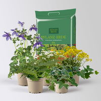 Pflanzenkreation Frühlingsmagie, 5 Pflanzen inkl. Erde Pflanzenkreation Frühlingsmagie, 5 Pflanzen inkl. Erde