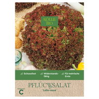 Kölle Bio Gemüsesamen, Pflücksalat 'Lollo rossa'