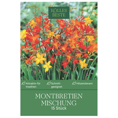 Kölle's Beste Montbretien Mischung, 15 Blumenknollen