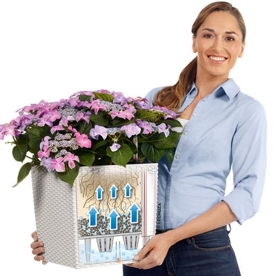 Lechuza 'Cube Cottage 30', lichtgrau, ca. 29,5 x 29,5 x H 30 cm Lechuza 'Cube Cottage 30', lichtgrau, ca. 29,5 x 29,5 x H 30 cm