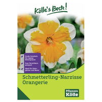 Schmetterling-Narzissen Orangerie rahmfarben mit orange, 5 Blumenzwiebeln