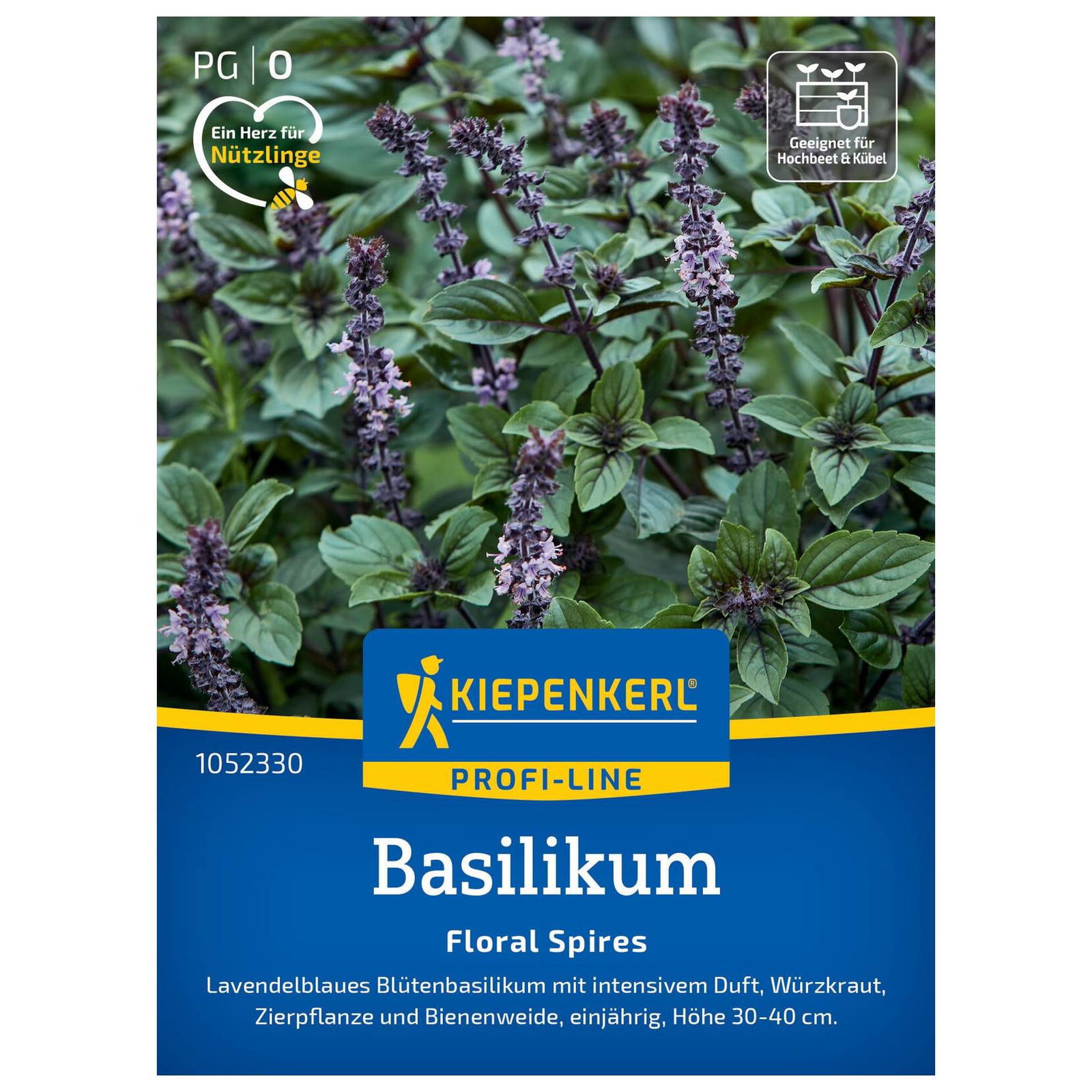Kräutersamen, Basilikum 'Floral Spires', bunt