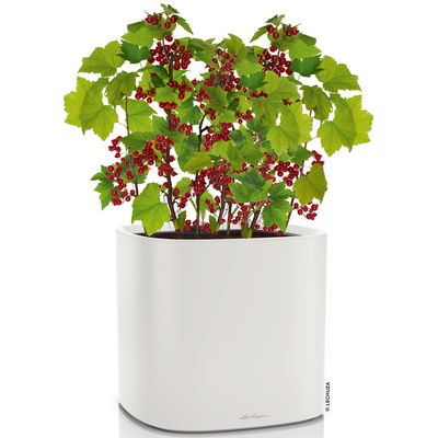 Lechuza 'Pila Color Planter', lichtgrau, ca. 35 x 35 x H 32,5 cm Lechuza 'Pila Color Planter', lichtgrau, ca. 35 x 35 x H 32,5 cm