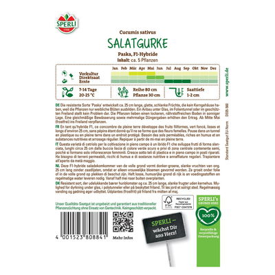 Saatgut Salatgurke 'Paska' Saatgut Salatgurke 'Paska'