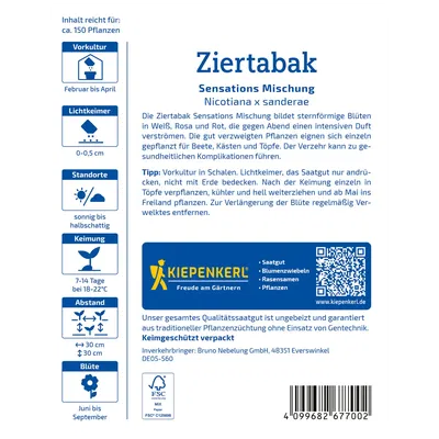 Kiepenkerl Saatgutmischung Ziertabak 'Sensations'