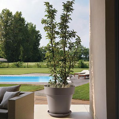 Euro 3 Plast Pflanzkübel 'Mitu Pac', taupe, ca. Ø 99 x H 88 cm