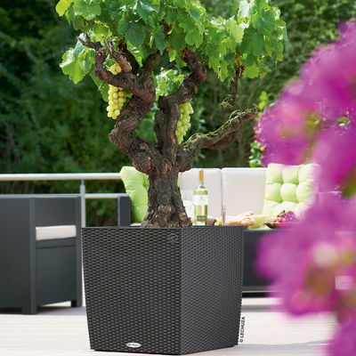 Lechuza 'Cube Cottage 50', granit, ca. 49 x 49 x H 49,5 cm