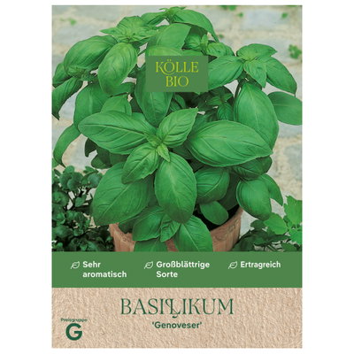Bio Basilikum 'Genoveser' Bio Basilikum 'Genoveser'