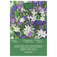 Kölles Beste Frühlingsstern Mischung, Größe 5+, 50 Blumenknollen