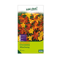 Köllle's Beste XXL Montbretien (Crocosmia) Mischung, 15 Blumenzwiebeln