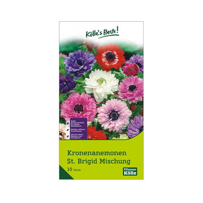 Kronenanemonen St. Brigid Mischung, 10 Blumenzwiebeln Kronenanemonen St. Brigid Mischung, 10 Blumenzwiebeln