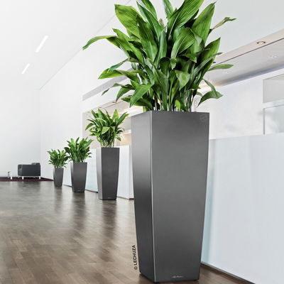 Lechuza 'Cubico Alto 40', anthrazit, ca. 39,5 x 39,5 x H 105 cm