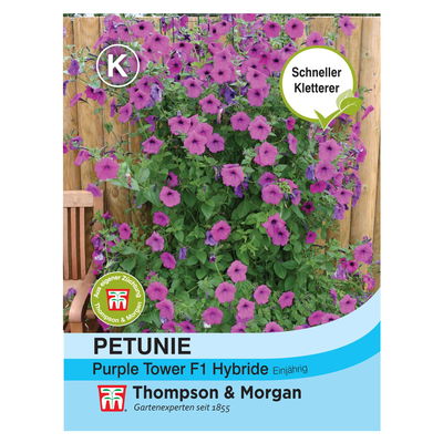 Petunie Purple Tower Hybrid, violette Blüten, einjährig blühend Petunie Purple Tower Hybrid, violette Blüten, einjährig blühend