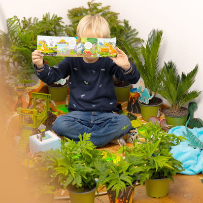 Dino Snack®, Sisko, Goldtüpfelfarn, Topf-Ø 14 cm, mit Brotdose Dino Snack®, Sisko, Goldtüpfelfarn, Topf-Ø 14 cm, mit Brotdose