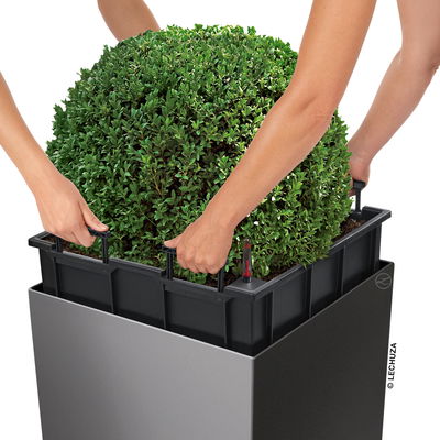 Lechuza 'Cube Premium 50', taupe, ca. 49 x 49 x H 49,5 cm