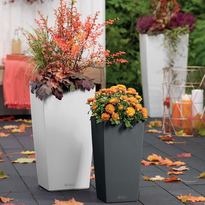 Lechuza 'Cubico Color 40', weiß, ca. 39,5 x 39,5 x H 75,5 cm Lechuza 'Cubico Color 40', weiß, ca. 39,5 x 39,5 x H 75,5 cm