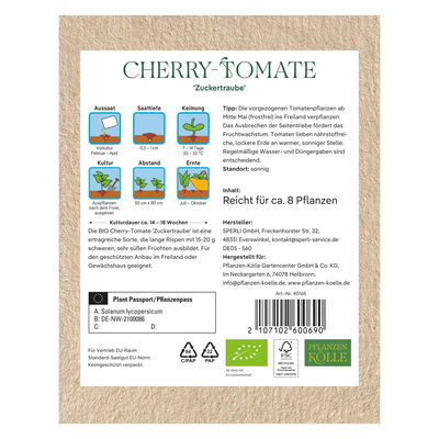 Kölle Bio Saatgut Cherry-Tomate 'Zuckertraube', rot