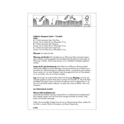 Kollektion Liliengarten Kübel-Kollektion Sorbet, 7 Blumenknollen