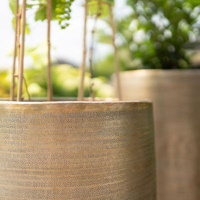 Kölle Pflanzgefäß 'Rowen', gold, ca. Ø 47 x H 82 cm