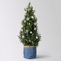 Weihnachtsbäumchen inkl. Deko, silber-weiß, Höhe 120 cm, Topf-Ø 26 cm Weihnachtsbäumchen inkl. Deko, silber-weiß, Höhe 120 cm, Topf-Ø 26 cm