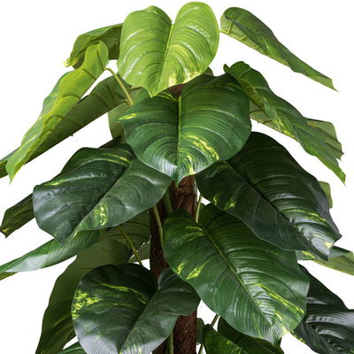 Künstlicher Philodendron scandens, Höhe ca. 150 cm Künstlicher Philodendron scandens, Höhe ca. 150 cm