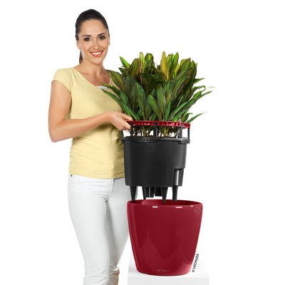 Lechuza 'Classico LS 28', scarlet-rot, ca. Ø 28 x H 26 cm Lechuza 'Classico LS 28', scarlet-rot, ca. Ø 28 x H 26 cm