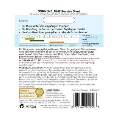 Thompson & Morgan Blumensamen Sonnenblume 