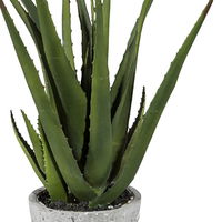 Kunstpflanze Aloe vera, Höhe ca. 40 cm