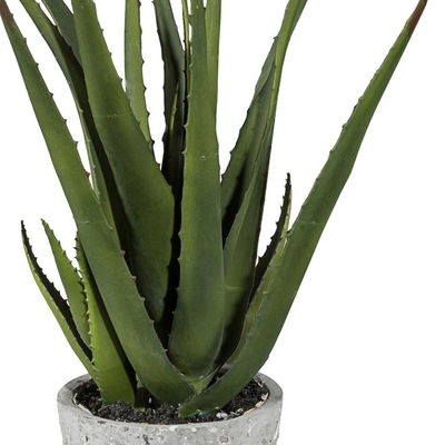 Kunstpflanze Aloe vera, Höhe ca. 40 cm Kunstpflanze Aloe vera, Höhe ca. 40 cm