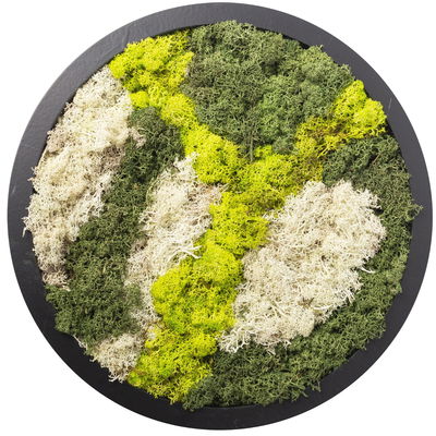 Moosbild rund, mit schwarzem Rahmen, 38 cm Ø