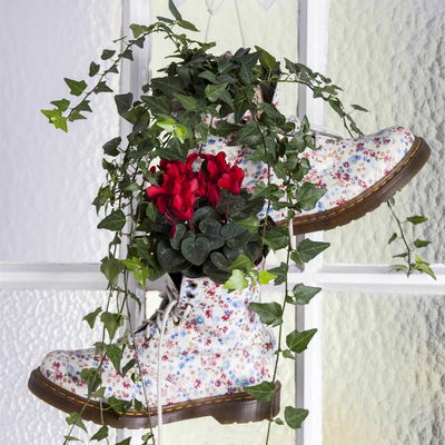 Kölle Alpenveilchen, Cyclamen persicum 'Outland', rot, Topf 11 cm Kölle Alpenveilchen, Cyclamen persicum 'Outland', rot, Topf 11 cm