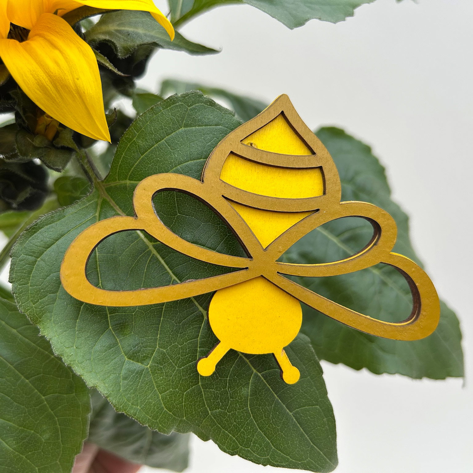 Sonnenblume, Topf-Ø 13 cm, in Zinkübertopf inkl. Stecker, 3 Pflanzen