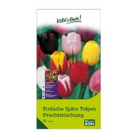 Einfache späte Tulpen Prachtmischung, 25 Blumenzwiebeln