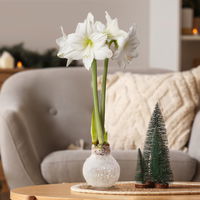 Amaryllis in Wachs XL, Dekor 'Snow White', Blüte weiß