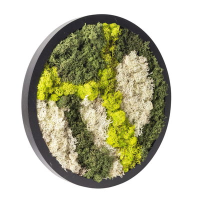 Moosbild rund, mit schwarzem Rahmen, 38 cm Ø