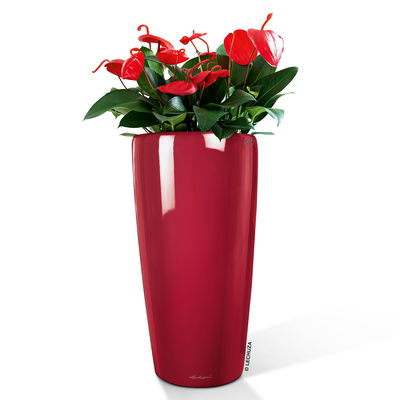 Lechuza 'Rondo 40', scarlet-rot, ca. Ø 40 x H 75 cm