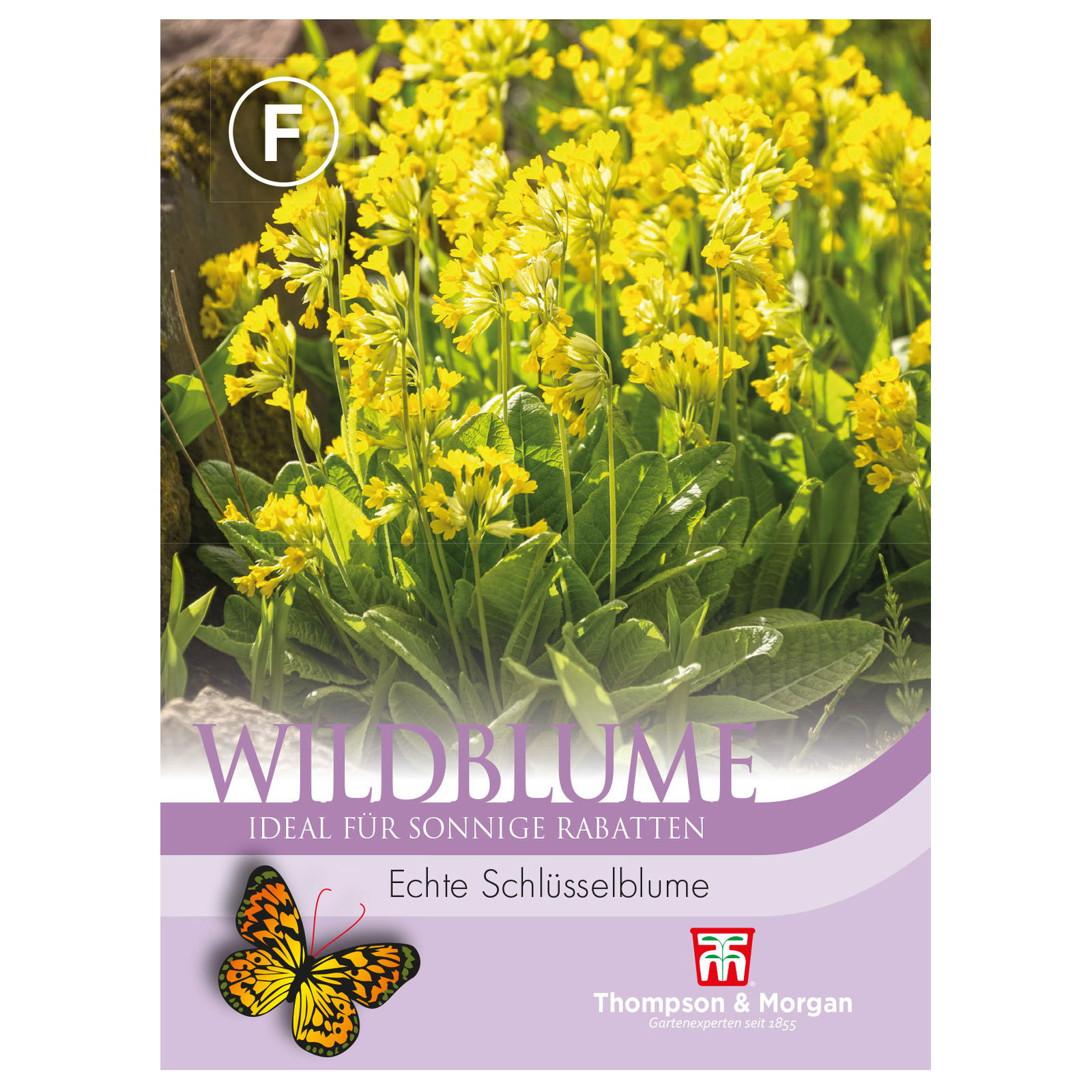 Thompson & Morgan Wildblume Echte Schlüsselblume, gelb Thompson & Morgan Wildblume Echte Schlüsselblume, gelb