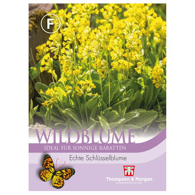 Thompson & Morgan Wildblume Echte Schlüsselblume, gelb Thompson & Morgan Wildblume Echte Schlüsselblume, gelb