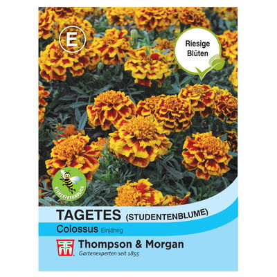 Thompson & Morgan Blumensamen Studentenblume 